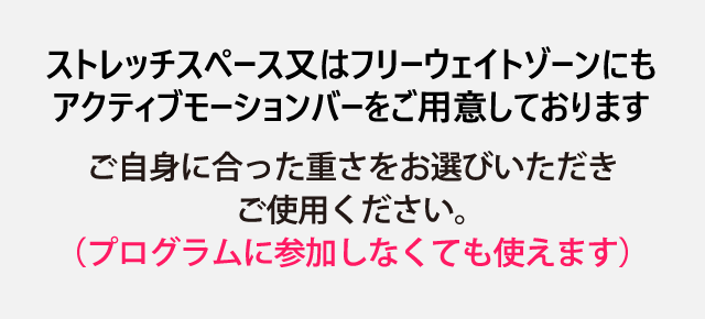 ストレッチスペース又はフリーウェイトゾーンにもアクティブモーションバーをご用意しております。